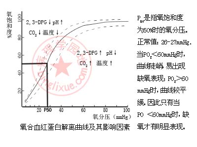 张文宏谈高龄老人沉默性缺氧_张文宏谈90后如何防脱发_张文宏谈乘飞机回国注意事项