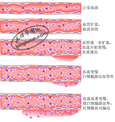 Ѫѧ仯-֢-ѧ԰